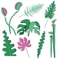 juego de pegatinas de hojas de la selva en la era mesozoica para decorar la guardería, para niños, ilustración en estilo plano aislado en blanco. vector