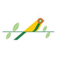 Bird Cartoon Illustration vector