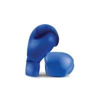 Boxing Blue gloves isolated on white background, vector illustration.