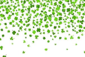Shamrock or green clover leaves pattern background flat design vector illustration isolated on white background. St Patricks Day shamrock symbols decorative elements pattern.