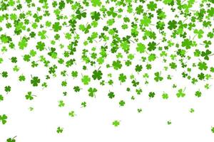 Shamrock or green clover leaves pattern background flat design vector illustration isolated on white background. St Patricks Day shamrock symbols decorative elements pattern.