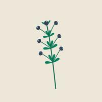 Blue berries on a branch with leaves. Vector illustration in flat style