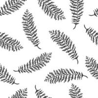 Fondo transparente de vector con ilustración de dibujado a mano de hierbas o plantas negras sobre campo blanco. se puede utilizar para papel tapiz, rellenos de patrones, páginas web, texturas superficiales, impresión textil, papel de regalo