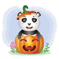 a cute panda in the halloween pumpkin vector