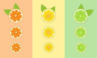 rebanada de naranja, limón, lima, pomelo, mandarina, frutas cítricas en un estilo plano, ilustración para fondos, fondos de pantalla, envases, tarjetas de felicitación, carteles, pegatinas, diseño de temporada. vector