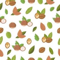 Nuts with leaf seamless pattern, hazelnut, almond, walnut on white background. Vector illustration