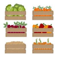 Set of wooden box with vegetables, isolated on white background. Vector illustration