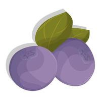 cartoon blueberries with leaves. Isolated on white. Icon for your design vector