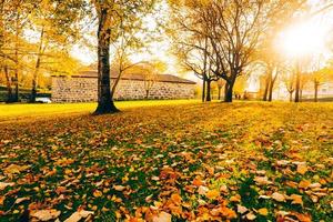 luz de otoño en el bosque foto