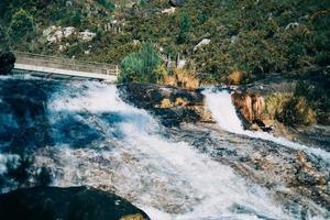 naturaleza de caída de agua foto