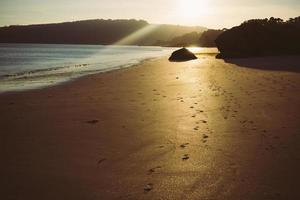 steps on the sand photo