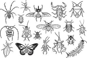 Doodle Collection of Bugs vector