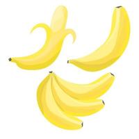 Set of Cartoon Bananas vector