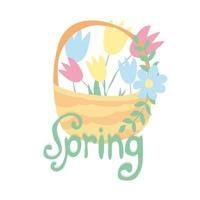 Spring text with tulip flower. Vector illustration