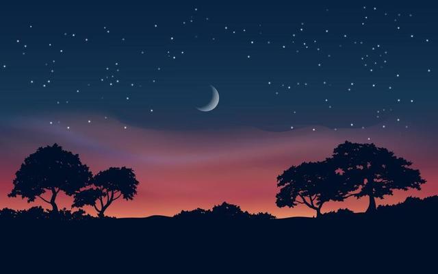 Night sky over forest. Tree silhouette landscape and crescent moon