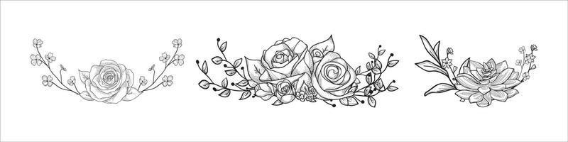 Collection of flowers vector