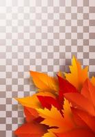 Realistic autumn foliage on a transparent background vector