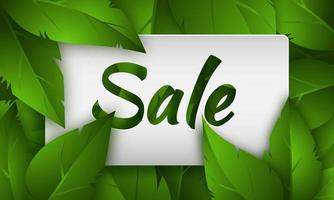 Vector design with green leaves and rectangular white frame.