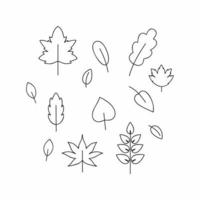 Set of contour Doodle drawings autumn leaves, twigs, berries. Black outline sketch by hand summer and spring. Design of postcards, photos, design and decor elements. Vector illustration.