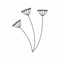 A black sprig of dill isolated on a white background. Doodle illustrations of hand-drawn flowers and plants. Pencil sketch. Design of logos, stickers, and postcards. Decorative elements of the vector. vector