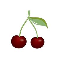 Two juicy bright cherries on a green branch with a leaf on a white background are isolated. Drawing a realistic Cherry berry. Vector three-dimensional cartoon illustration. Logo of the canteen, cafe