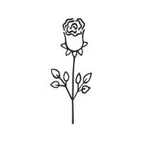 Rosebud Doodle isolated on white background. Contour pencil drawing of a flower, coloring book for children. A hand-drawn sketch in black ink. Vector illustration, design of postcards, stickers.