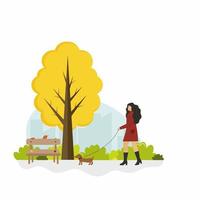 A girl walks with a dog in an autumn Park. Vector cartoon flat illustration. A woman walks a small Dachshund. Drawing in the style of lifestyle.