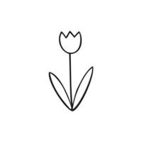 Children's drawing of a Tulip made of lines on a white background. Simple children's Doodle drawing of flowers. Pencil sketch by hand, vector illustration. Coloring book for children flower bell.