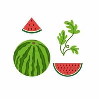 National watermelon day on August 3 in the United States. Set round ripe watermelon, slice of watermelon, watermelon leaves. Vector flat stylized cartoon illustration. Watermelon and fruit festival.