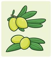 Olive fruit with leaves cartoon illustration vector