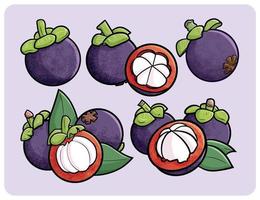 Fresh mangosteen collection in cartoon style vector