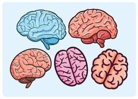 conjunto de ilustración de dibujos animados de cerebro divertido vector