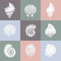 Seamless pattern with seashells. Marine background.  Perfect for greetings, invitations, manufacture wrapping paper, textile and web design. vector