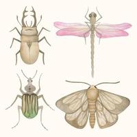 WATERCOLOR SET OF FOUR INSECTS vector