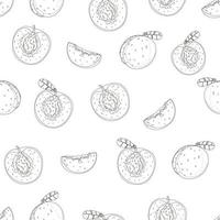 pink peach seamless pattern. fresh fruit background. Apricot endless background, texture. Fruits backdrop vector