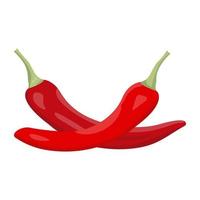 Hot Peppers Concepts vector