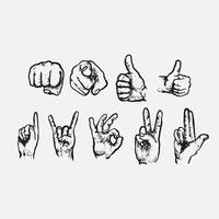 Hand gesture collection vector