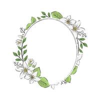 handdrawn jasmine border vector