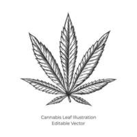 Hemp or Cannabis Illustration Hand Drawn Vector