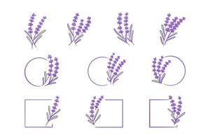 lavender plant hand drawn illustration set vector