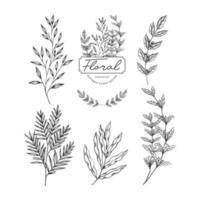 HAND DRAWN FLORAL ORNAMENT VECTOR