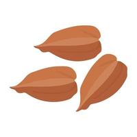 conceptos de nueces de hican vector