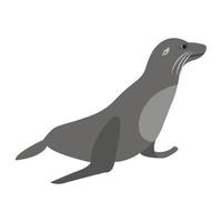 Elephant Seal Concepts vector