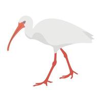 conceptos de aves de grúa vector