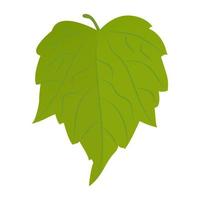 Birch Leaf Concepts vector