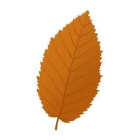 Elm Leaf Concepts vector