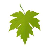 Grape Leaf Concepts vector