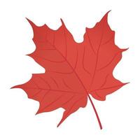 Red Maple Concepts vector