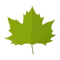 Grape Leaf  Concepts vector