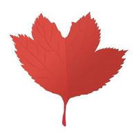 Red Maple Concepts vector